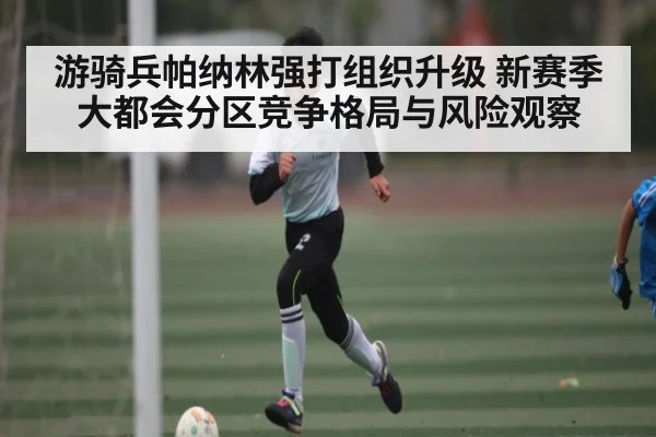 游骑兵帕纳林强打组织升级 新赛季大都会分区竞争格局与风险观察 - kaiyun